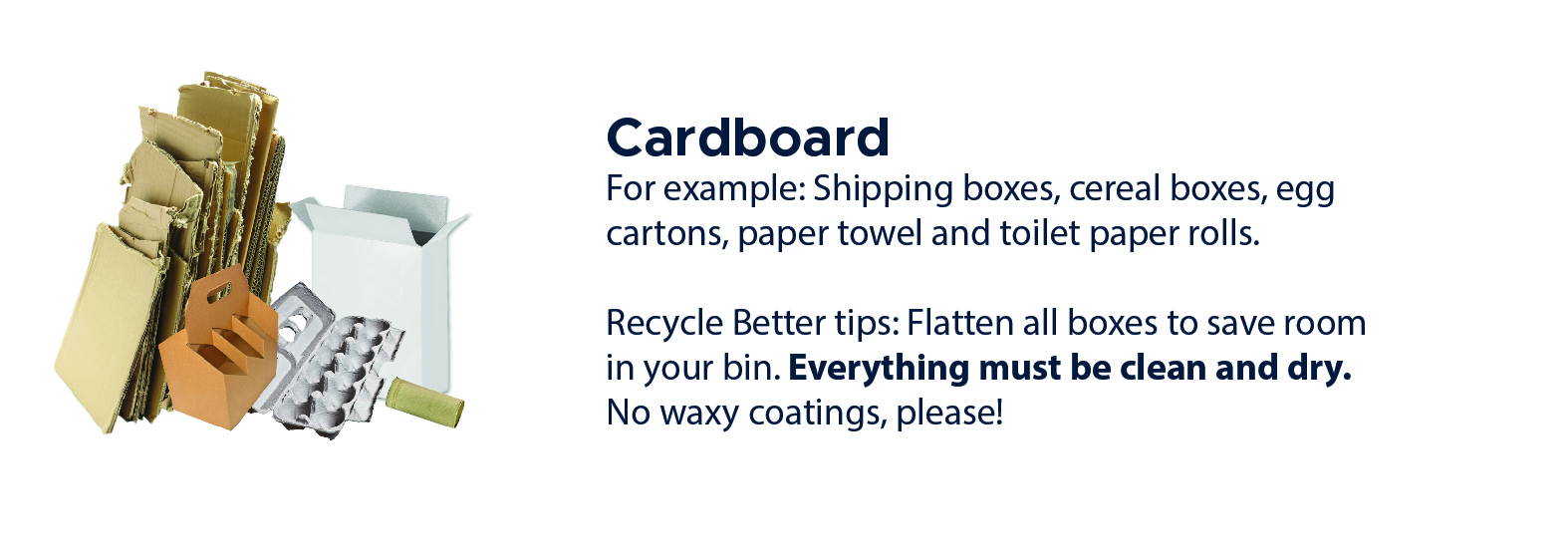 Cardboard